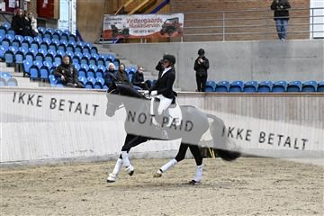 182241_kbb_01_Z093091.JPG