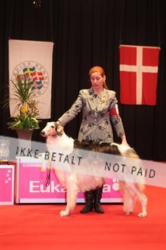 126827_tl_04_IMG_0108.JPG