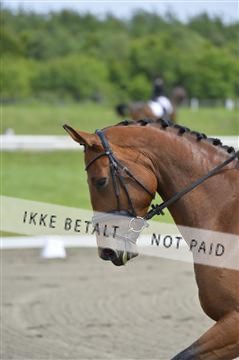 140040_abo_01__AB16862.JPG