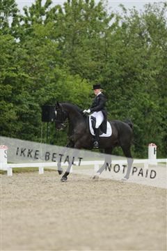 139835_sg_03_IMG_9143.JPG