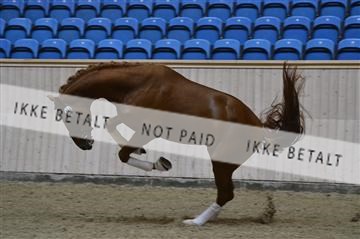 139327_abo_01__AB10212.JPG