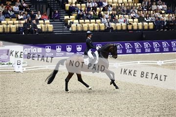 182194_avh_05_2808.JPG