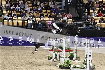 182194_kbb_02_Z099574.JPG