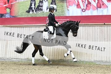 182241_kbb_01_Z094279.JPG