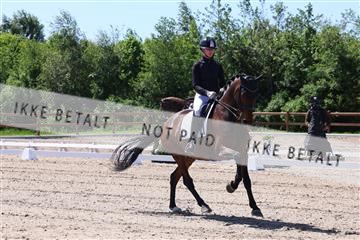 181449_bc_01R62_5540.JPG