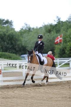 156196_nn_01_IMG_5889.JPG