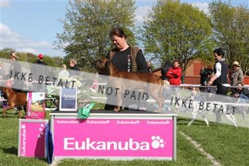 134871_ms_01_IMG_3933.JPG