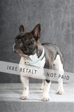 130054_le_ 01_0090.JPG