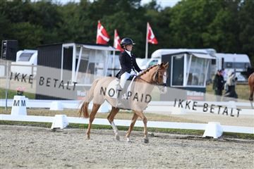 181894_mtp_05_R62_5068.JPG