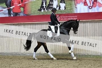 182241_kbb_01_Z094774.JPG