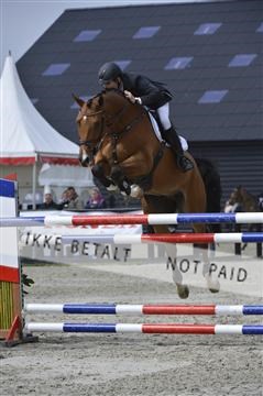 139644_abo_01__AB13948.JPG
