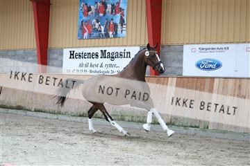 181868_mtp_02_R62_5420.JPG