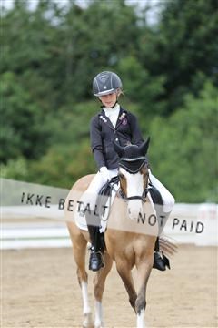 156196_nn_01_IMG_6141.JPG