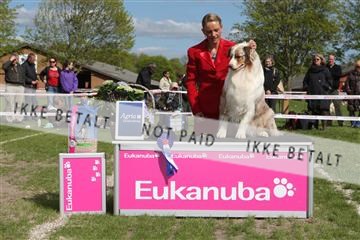 134871_ms_04_IMG_0720.JPG