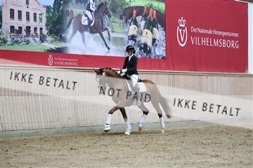 181887_mtp_02_R62_7770.JPG