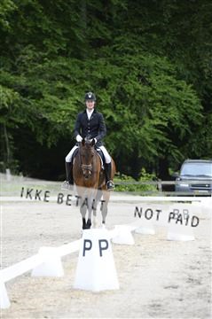 139898_ms_01__MS28378.JPG