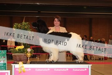 124188 _tl_02_IMG_9520.JPG