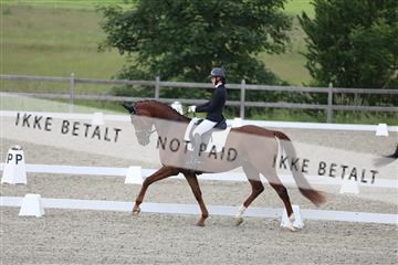172030_mtp_01_3M5A1515.JPG