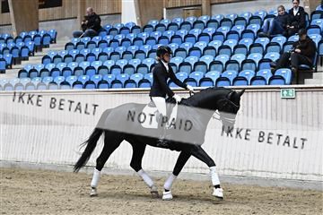 182241_kbb_01_Z094483.JPG