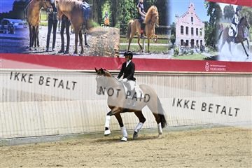 182241_kbb_01_Z093050.JPG