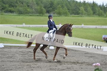 140040_abo_01__AB16278.JPG