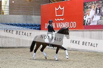 182241_kbb_01_Z093256.JPG