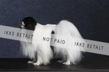 132082_le_ 01_IMG_0687.JPG