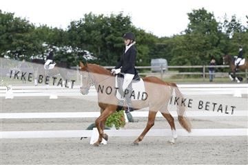 166078_rhj_01_166078_rhj_01__J7R1971.JPG