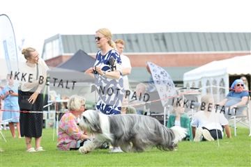 181564_rin_01_R62_8502.JPG
