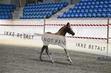 181754_kbb_01_Z092651.JPG