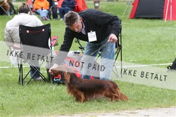 134871_ms_04_IMG_9837.JPG