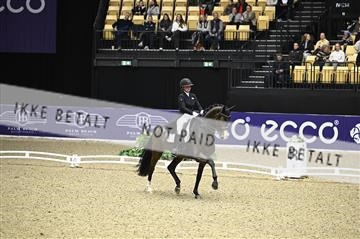 182194_kbb_02_Z098797.JPG