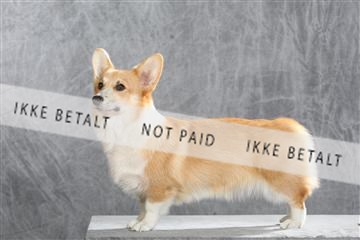 130054_le_ 01_0297.JPG