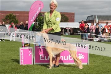 130370_tl_01_IMG_7486.JPG