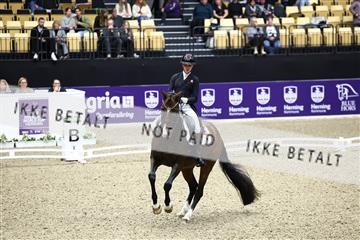 182194_avh_05_2289.JPG