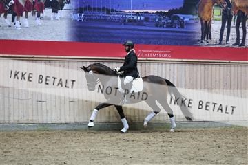 181887_mtp_05_R62_9460.JPG