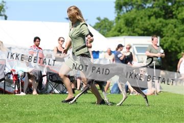 181564_rin_02_R62_4037.JPG