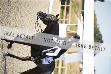181855_jss_03__6II0098.JPG