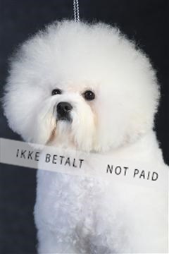 132082_le_ 01_IMG_0204.JPG