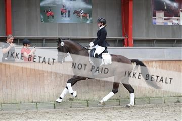 181867_mtp_01_R62_4129.JPG