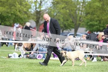 134871_ms_04_IMG_0381.JPG