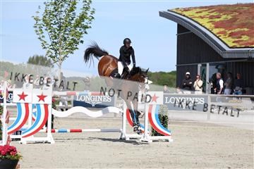 181436_avh_03_4535.JPG