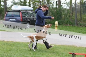 134871_ms_04_IMG_9993.JPG