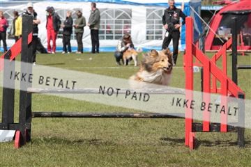 124188 _tl_02_IMG_9468.JPG