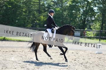 168732_mtp_01_3M5A6510.JPG