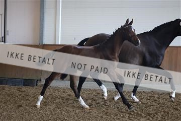 181756_mtp_03_R62_2299.JPG