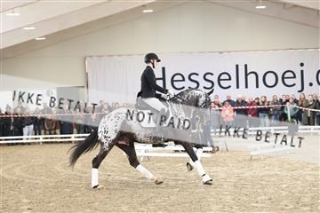174363_kbb_01_R6II7913.JPG