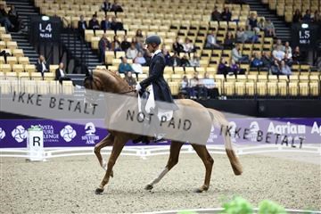 182194_mlm_01_R62_9883.JPG