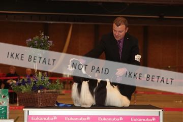 124188 _tl_02_IMG_9339.JPG