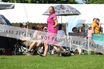 181564_rin_02_R62_3514.JPG